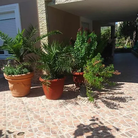 Babis House *